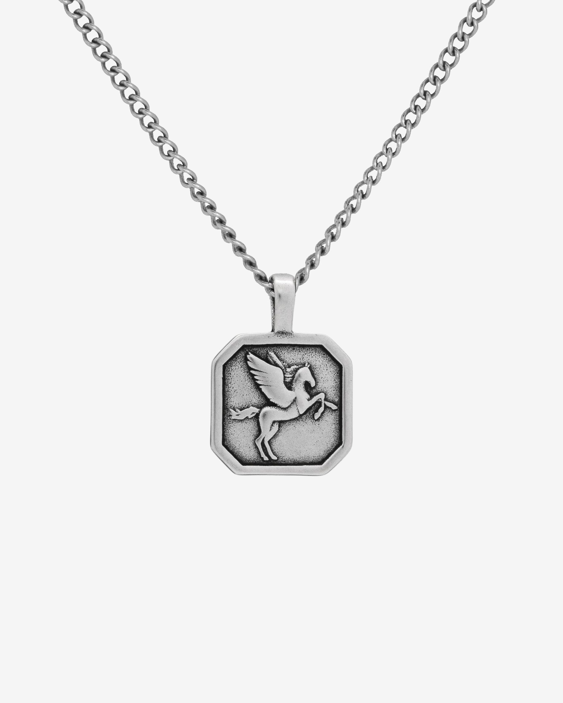 Silver Pegasus necklace with a hexagonal pendant on a plain white background.