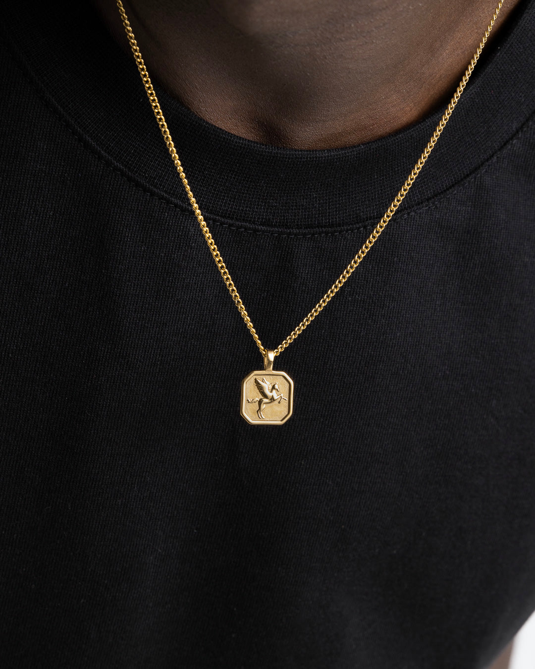 Gold hexagonal pendant necklace with a horse emblem resting on the chest